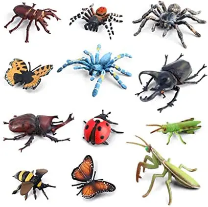 Insects